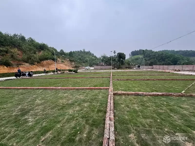 ???? Chỉ hơn 300 triệu – sở hữu ngay đất sát hà nội (gần như hết hàng)