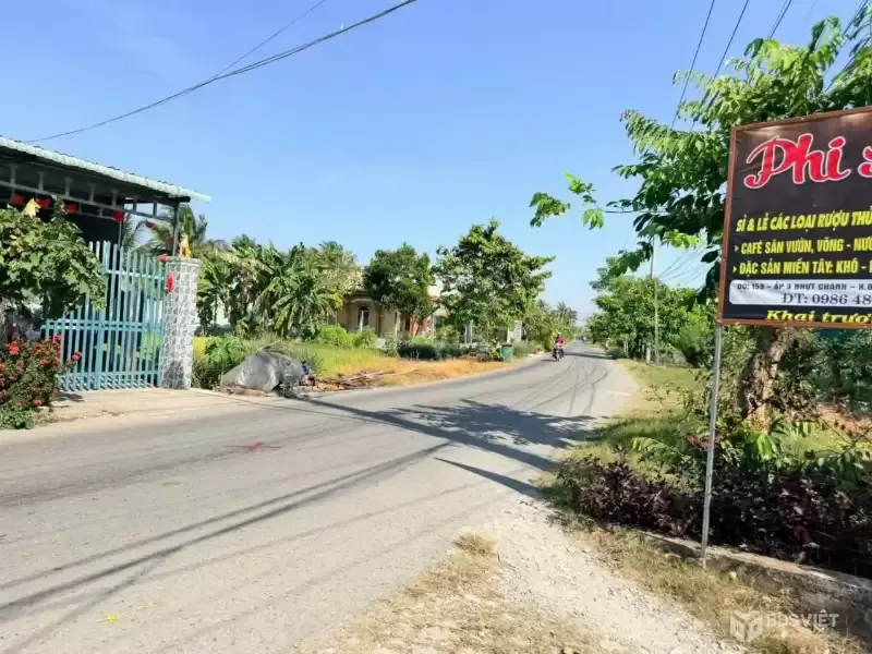 Bán đất lúa đường đá xanh xe tải xã Nhựt Chánh dt 3004m2 giá 4,85 tỷ