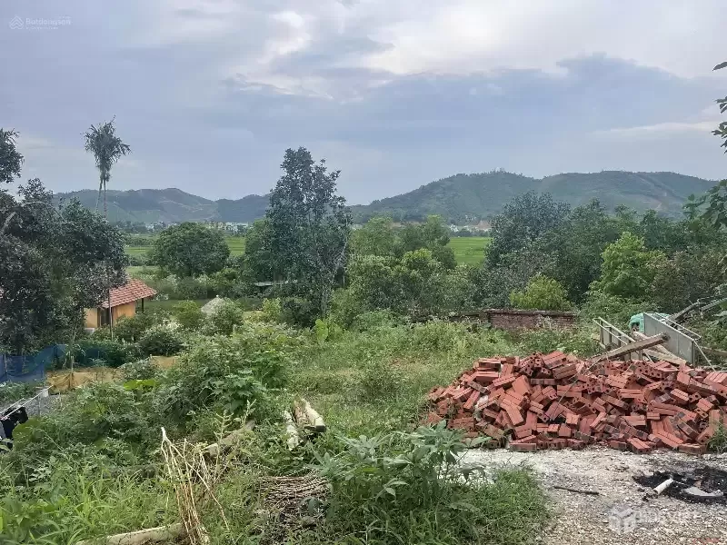 BÁN 260M2 ĐẤT SẴN SỔ GẦN TRƯỜNG QUỐC TẾ MAYA MẶT TIỀN ÔTÔ TRÁNH TẠI TIẾN XUÂN