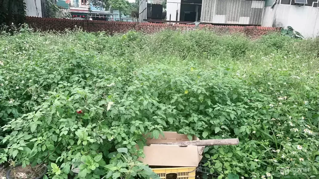 HƠN 3 TỶ NHỎ – SỞ HỮU NGAY LÔ ĐẤT ĐẸP ĐÔNG ANH DT 52m² full thổ cư – mặt tiền rộng 5m vuông vắn