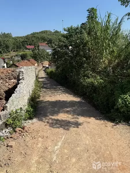 Bán đất Thượng Tùng, Yên Dũng, Bắc Giang. 106m2- Mt 6,3m. đường ô tô. giá 890 triệu