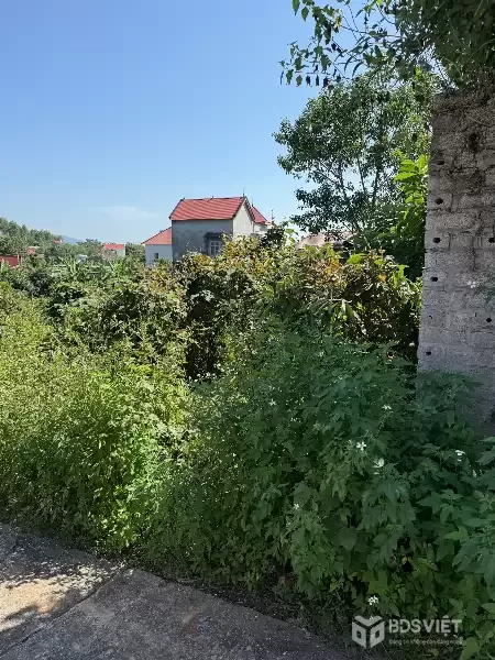 Bán đất Thượng Tùng, Yên Dũng, Bắc Giang. 106m2- Mt 6,3m. đường ô tô. giá 890 triệu