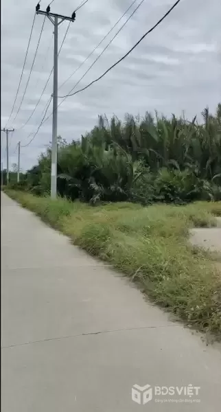 BÁN 555M2 ĐẤT SẴN SỔ MẶT TIỀN ĐƯỜNG CÁ SÚC-BÌNH KHÁNH-CẦN GIỜ