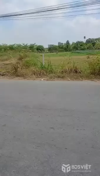 Bán đất mặt tiền đường Tân Hội , Đức Lập Thượng dt 1000m2 ( 300m2 thổ) giá 8,5 tỷ