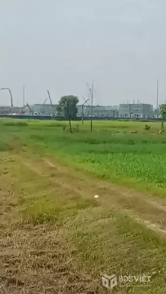 Bán đất mặt tiền đường Tân Hội , Đức Lập Thượng dt 1000m2 ( 300m2 thổ) giá 8,5 tỷ