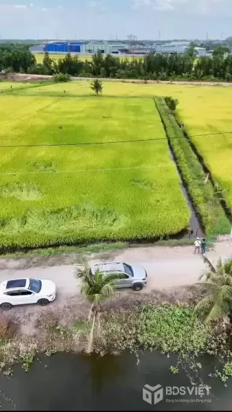 Bán đất lúa góc mt đường đá xanh xe tải và mt kênh xã Hòa Khánh Tây dt 8100m2 giá 7,85 tỷ