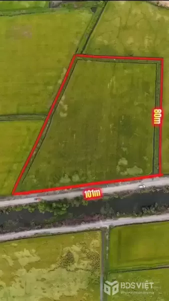 Bán đất lúa góc mt đường đá xanh xe tải và mt kênh xã Hòa Khánh Tây dt 8100m2 giá 7,85 tỷ