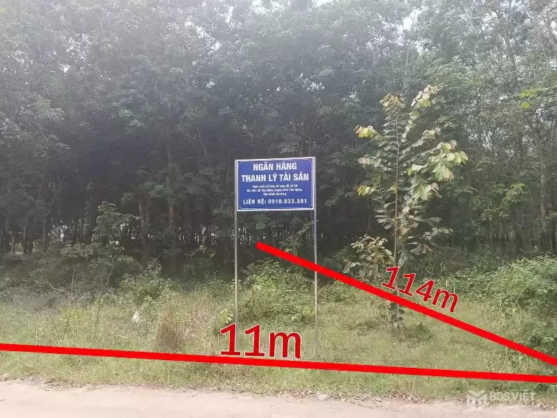 BẮC TÂN UYÊN, NGÂN HÀNG THANH LÝ ĐẤT NGANG 11M, DT 1536.8M2, ĐƯỜNG BÊ TÔNG 4M, GIÁ  1 TỶ 606