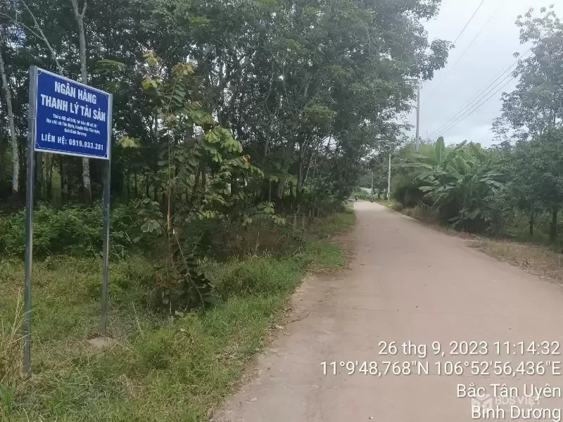 BẮC TÂN UYÊN, NGÂN HÀNG THANH LÝ ĐẤT NGANG 11M, DT 1536.8M2, ĐƯỜNG BÊ TÔNG 4M, GIÁ  1 TỶ 606