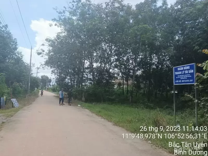 BẮC TÂN UYÊN, NGÂN HÀNG THANH LÝ ĐẤT NGANG 11M, DT 1536.8M2, ĐƯỜNG BÊ TÔNG 4M, GIÁ  1 TỶ 606