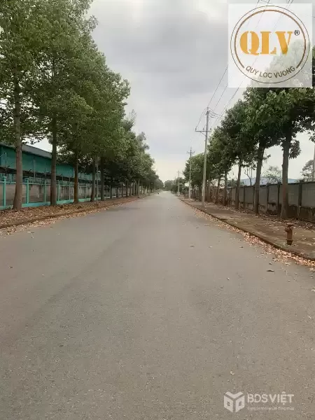 Bán nhà xưởng CCN Tân Thành, BRVT 1.728m²