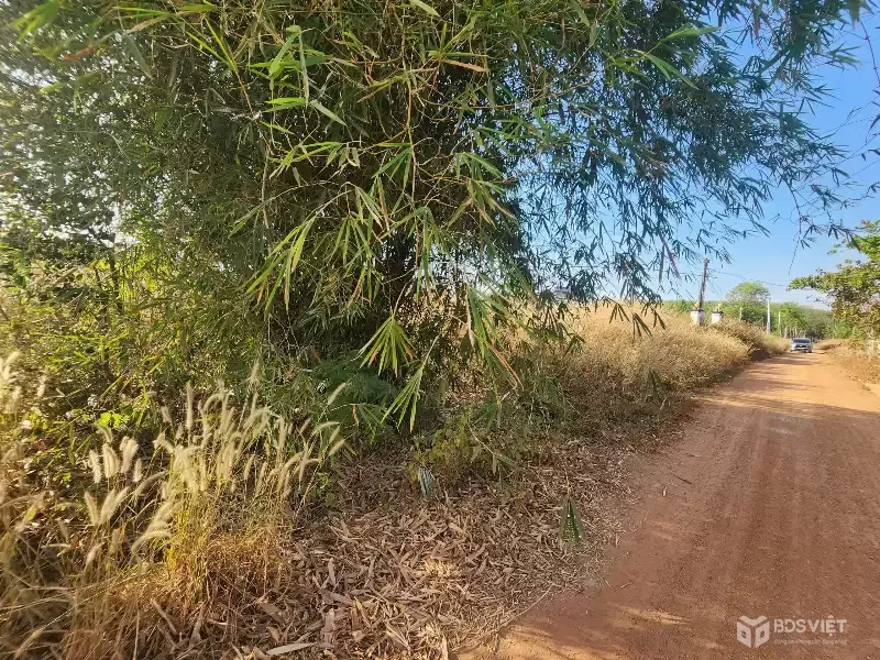 ĐẤT THỔ CƯ MINH THẠNH DẦU TIẾNG, NGÂN HÀNG THANH LÝ 4213.8M2,  NGANG 50M, GIÁ NHỈNH 1 TỶ 719 TRIỆU