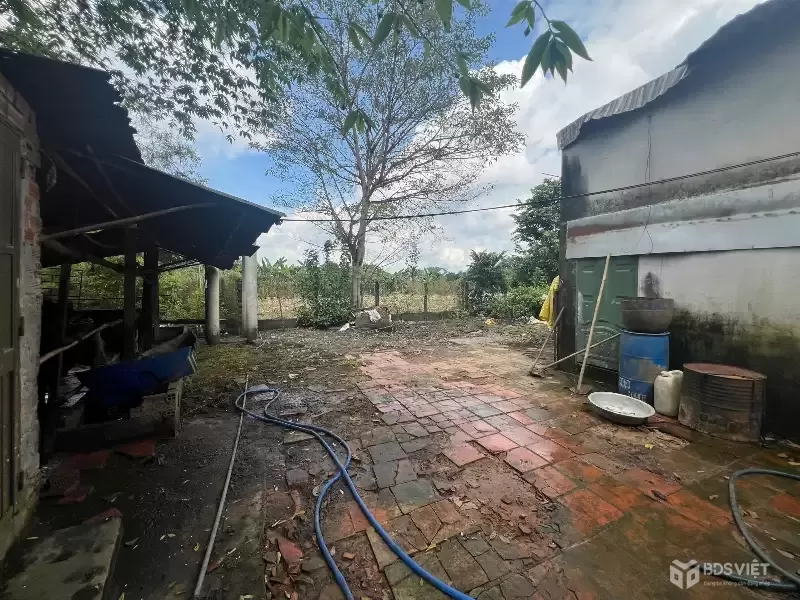 NHÀ PHÚ CHÁNH TÂN UYÊN, NGÂN HÀNG THANH LÝ GẤP ĐÁT CÓ NHÀ, DT 483M2, GIÁ 2 TY 6