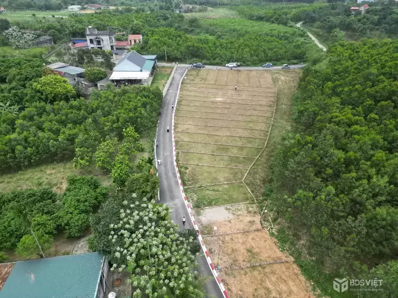 CHỈ TỪ 2XX TRIỆU – SỞ HỮU NGAY ĐẤT SỔ RIÊNG TRUNG TÂM AN BÌNH | GIÁ HIẾM – TIỀM NĂNG RÕ RỆT