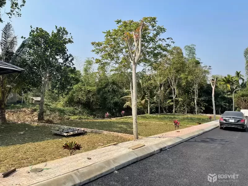 CHỈ HƠN 300TR – SỞ HỮU NGAY ĐẤT TRUNG TÂM BA HÀNG ĐỒI | SỔ RIÊNG – SINH LỜI NHANH