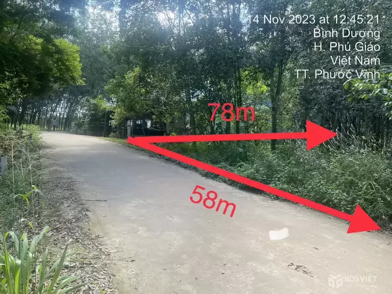 ĐẤT PHƯỚC VĨNH PHÚ GIÁO, NGÂN HÀNG THANH LÝ ĐẤT SẴN THỔ, DT 3553.7M2, NGANG 58M, Ô TÔ TIẾP CẬN