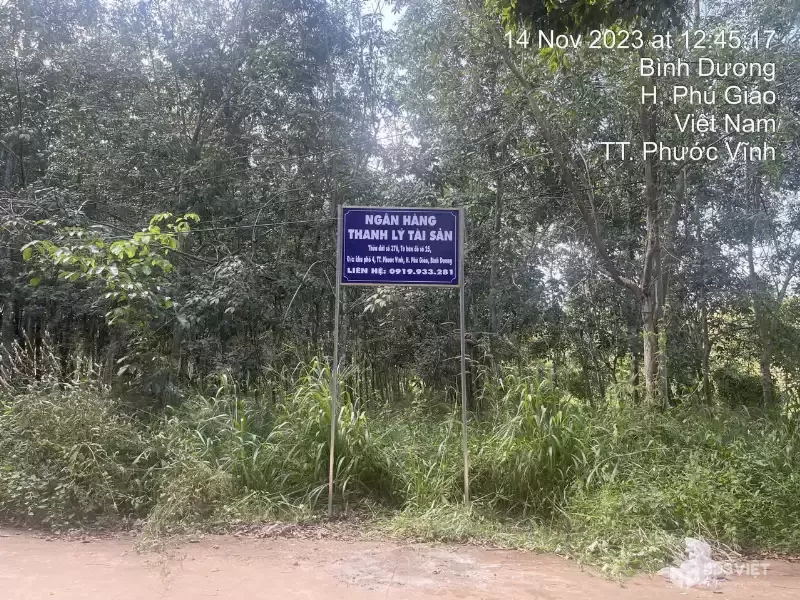 ĐẤT PHƯỚC VĨNH PHÚ GIÁO, NGÂN HÀNG THANH LÝ ĐẤT SẴN THỔ, DT 3553.7M2, NGANG 58M, Ô TÔ TIẾP CẬN