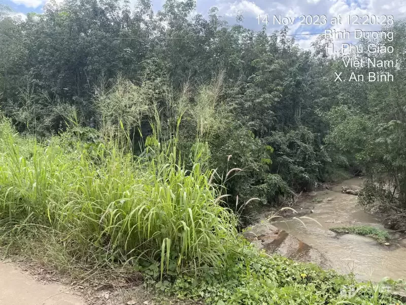 ĐẤT PHƯỚC VĨNH PHÚ GIÁO, NGÂN HÀNG THANH LÝ ĐẤT SẴN THỔ, DT 3553.7M2, NGANG 58M, Ô TÔ TIẾP CẬN