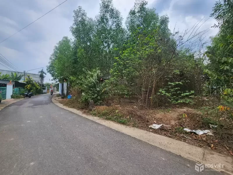 ĐẤT THẠNH PHƯỚC TÂN UYÊN, NGÂN HÀNG THANH LÝ ĐẤT NGANG 10M, SẴN 100M2 THỔ, DT 503M2, GIẢ 2 TỶ 352 TRIỆU