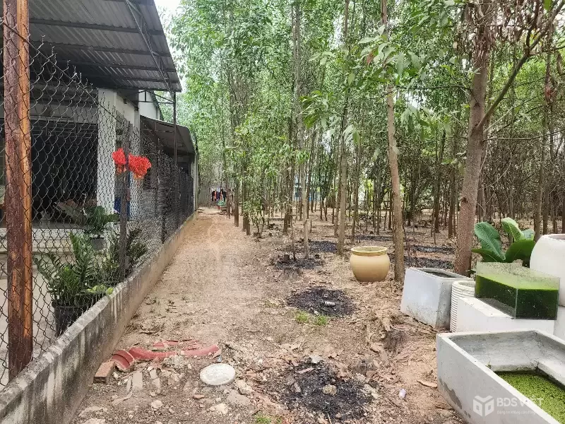 ĐẤT THẠNH PHƯỚC TÂN UYÊN, NGÂN HÀNG THANH LÝ ĐẤT NGANG 10M, SẴN 100M2 THỔ, DT 503M2, GIẢ 2 TỶ 352 TRIỆU