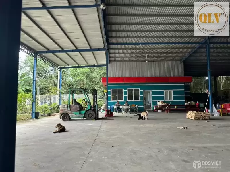 Cho thuê ĐẤT & NHÀ XƯỞNG – Hớn Quản, Bình Phước – 5.000m²