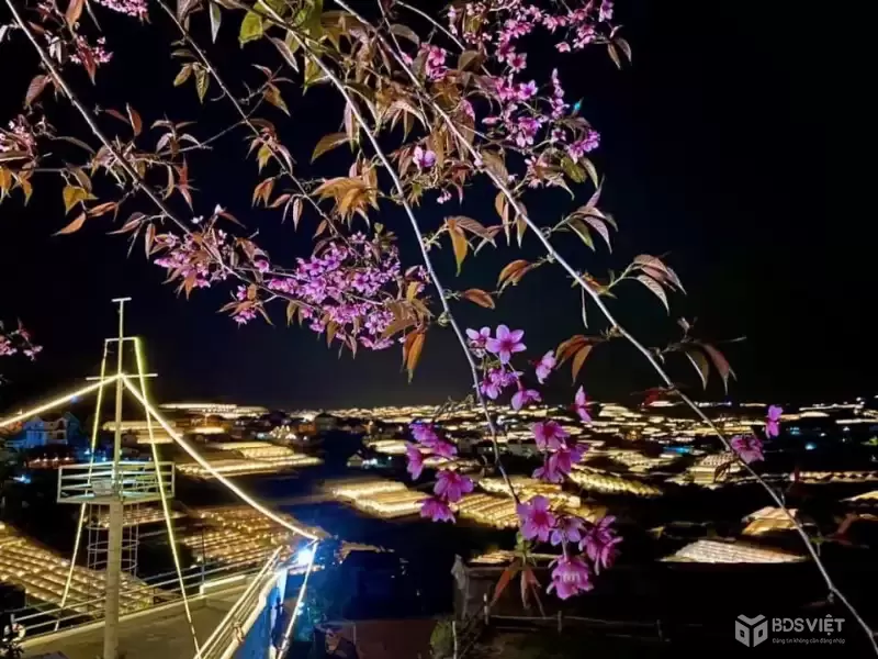 Cho thuê quán Cà phê và Homestay 45 triệu/tháng Hùng Vương phường 11 Đà Lạt