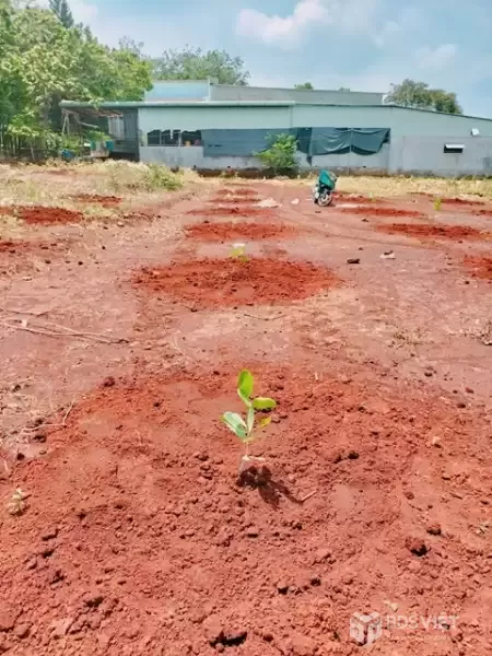 Chính Chủ  Bán Lô Đất Đẹp Tại Xã Bình Sơn , Huyện Phú Riềng T. Bình Phước