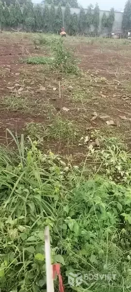 Chính Chủ  Bán Lô Đất Đẹp Tại Xã Bình Sơn , Huyện Phú Riềng T. Bình Phước