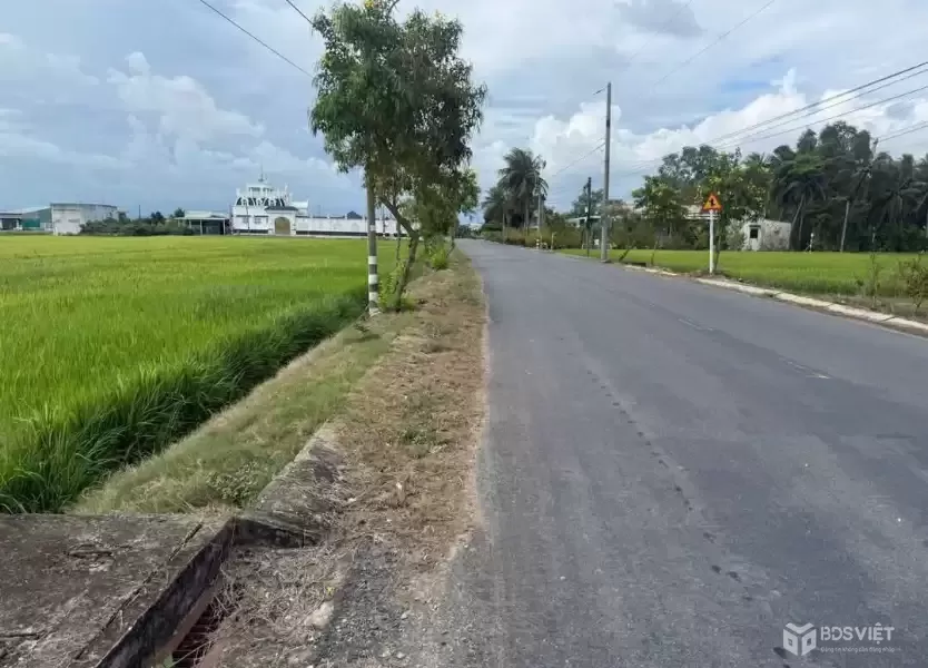 Bán đất mặt tiền Cao Thị Mai, Bình Trinh Đông , Tân Trụ dt 440,8m2 (295,7m2 thổ) giá 2,45 tỷ