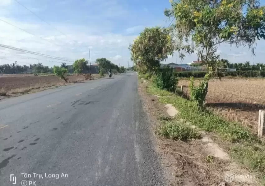 Bán đất mặt tiền Cao Thị Mai, Bình Trinh Đông , Tân Trụ dt 440,8m2 (295,7m2 thổ) giá 2,45 tỷ