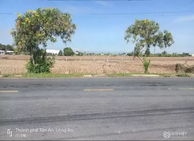 Bán đất mặt tiền Cao Thị Mai, Bình Trinh Đông , Tân Trụ dt 440,8m2 (295,7m2 thổ) giá 2,45 tỷ
