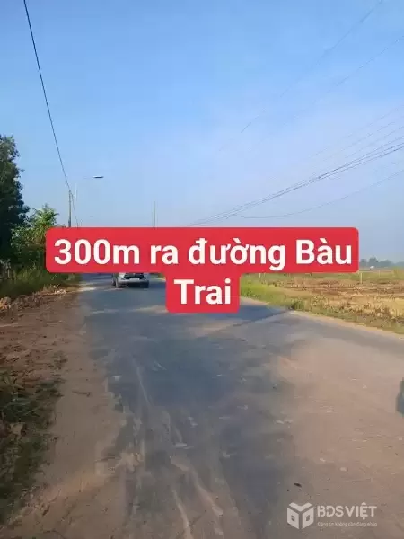 Bán đất vườn mặt tiền đường nhựa Ấp Chánh ,xã Tân Phú, Đức Hòa dt 390m2 giá 1,7 tỷ