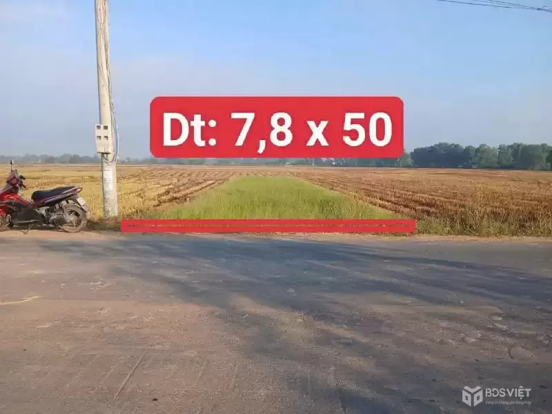 Bán đất vườn mặt tiền đường nhựa Ấp Chánh ,xã Tân Phú, Đức Hòa dt 390m2 giá 1,7 tỷ