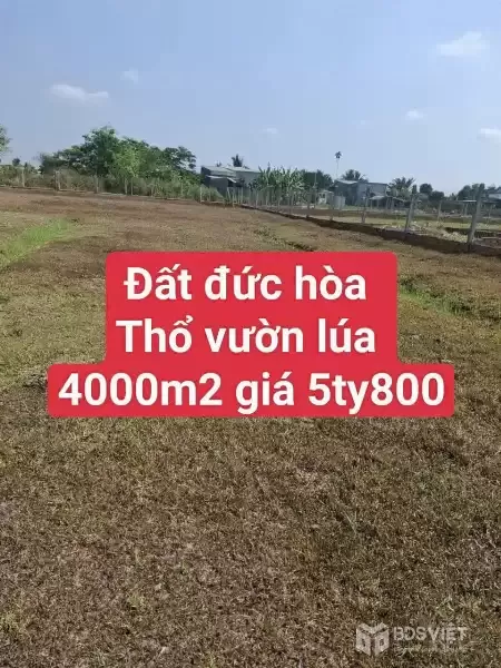 Bán 4000m2 đất ( 350m2 thổ) đường đá xanh xe hơi xã Đức Hòa Thượng, Đức Hòa giá 5,8 tỷ