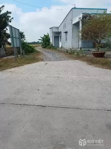 Bán 4000m2 đất ( 350m2 thổ) đường đá xanh xe hơi xã Đức Hòa Thượng, Đức Hòa giá 5,8 tỷ