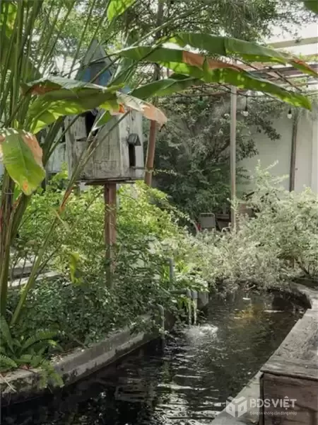 Nhà MT Đường Dương Quảng Hàm Quận Gò Vấp Phường 06 Cũ.