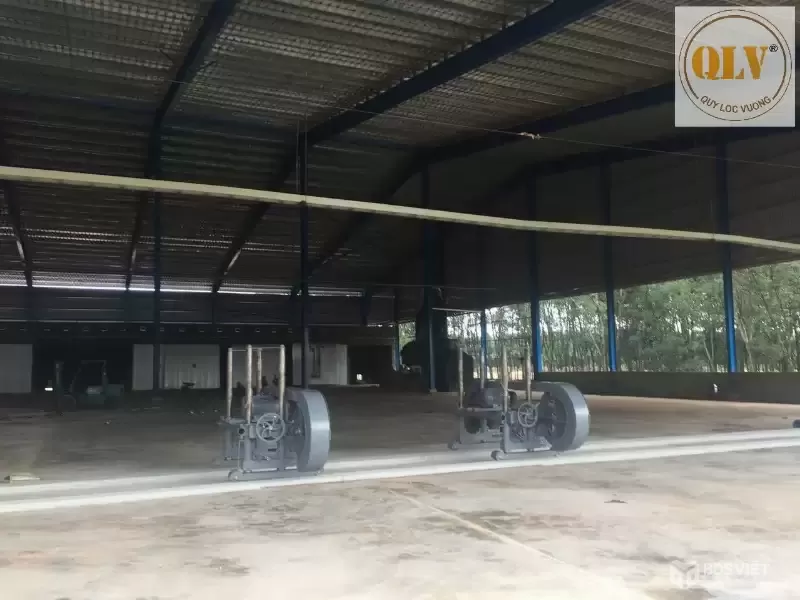 Cho thuê nhà xưởng – ĐỒNG PHÚ, BÌNH PHƯỚC – 7.597m²