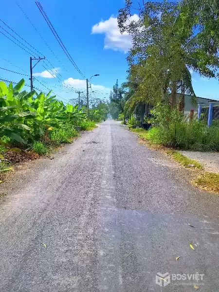 CẦN BÁN 2797M2 ĐẤT LÚA ĐƯỜNG BỜ KINH 1tr5 1m2