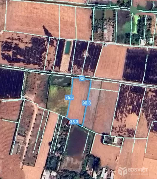 CẦN BÁN 2797M2 ĐẤT LÚA ĐƯỜNG BỜ KINH 1tr5 1m2