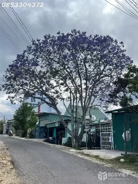 ĐẤT ĐẸP GIÁ TỐT – VUÔNG VỨC GẦN KHU THỂ THAO ĐÀ LẠT
Vị trí: Đường Cao Bá Quát – P6 cũ – Đà Lạt