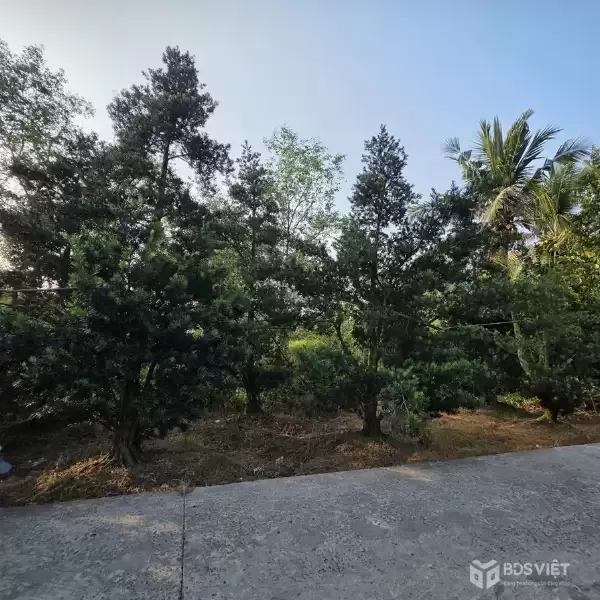 ĐẤT ĐẸP - ĐẦU TƯ SINH LỜI - CHÍNH CHỦ BÁN ĐẤT 2 Mặt Tiền Đường Tỉnh lộ 868, Xã Long Tiên, Đồng Tháp