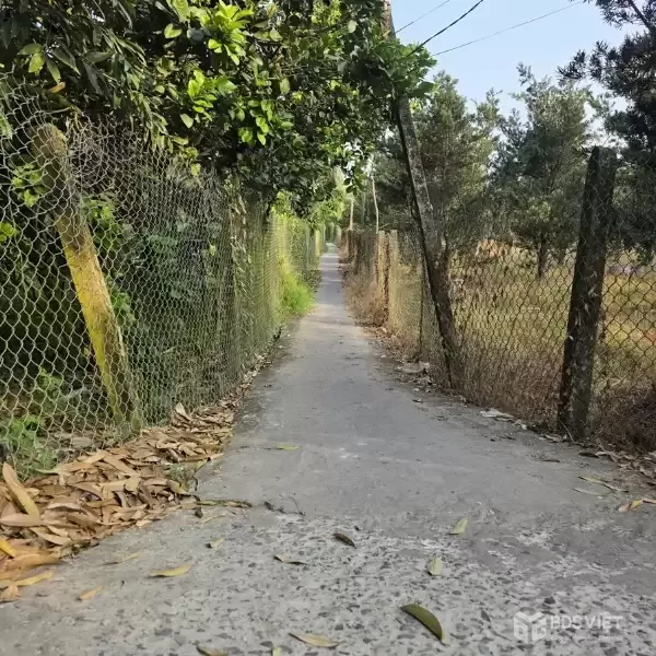 ĐẤT ĐẸP - ĐẦU TƯ SINH LỜI - CHÍNH CHỦ BÁN ĐẤT 2 Mặt Tiền Đường Tỉnh lộ 868, Xã Long Tiên, Đồng Tháp