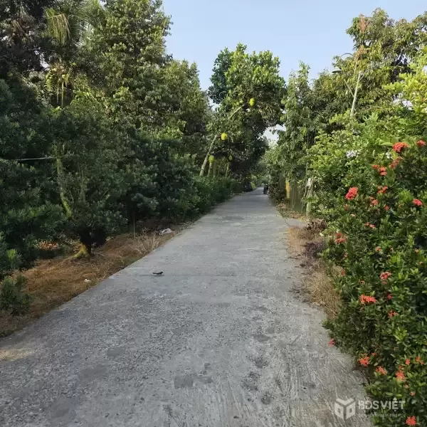 ĐẤT ĐẸP - ĐẦU TƯ SINH LỜI - CHÍNH CHỦ BÁN ĐẤT 2 Mặt Tiền Đường Tỉnh lộ 868, Xã Long Tiên, Đồng Tháp