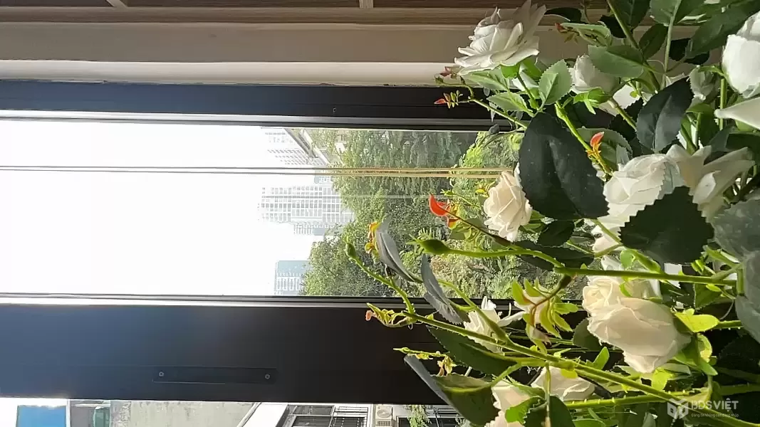 ✅ HÀNG TUYỆT CHỦNG - 11 TỶ PHÂN LÔ, 5 TẦNG Ô GÓC 2 THOÁNG NGUYỄN TUÂN