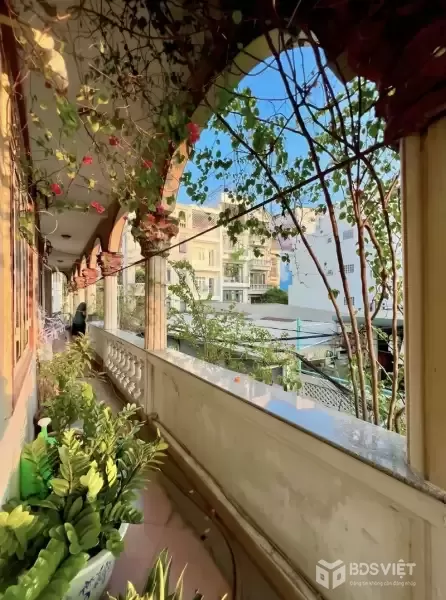 Siêu Phẩm Ngang 16m – HXH - 3 Mặt Thoáng – Xây Gì Cũng Đẹp: CHDV, Phòng Khám, Biệt Thự