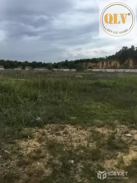 BÁN ĐẤT XÂY XƯỞNG – CCN TÂN MỸ, TÂN UYÊN – 18.088 m²