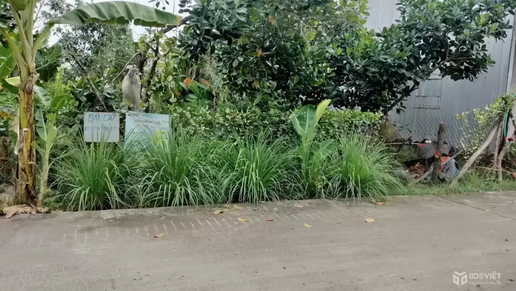 ĐẤT ĐẸP - ĐẦU TƯ SINH LỜI - Chính Chủ Bán 2 Lô Đất Tại Xã Châu Lăng, Tri Tôn, An Giang