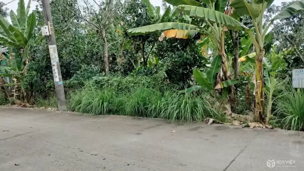 ĐẤT ĐẸP - ĐẦU TƯ SINH LỜI - Chính Chủ Bán 2 Lô Đất Tại Xã Châu Lăng, Tri Tôn, An Giang