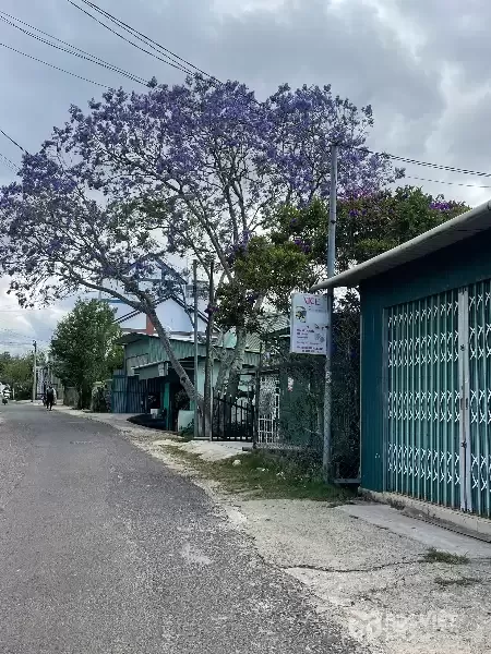 ĐẤT ĐẸP TRUNG TÂM ĐƯỜNG CAO BÁ QUÁT – GIÁ GIẢM SÂU 2 TỶ – CƠ HỘI HIẾM!