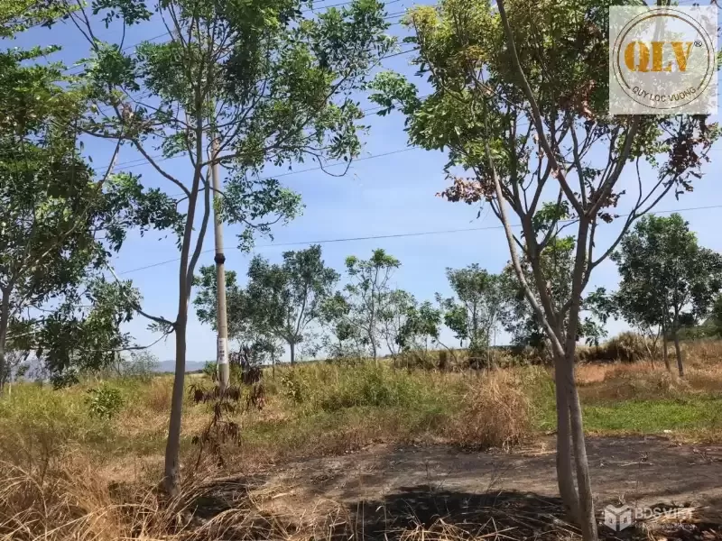 Bán đất KCN Cái Mép, Bà Rịa – Vũng Tàu 30.000m²